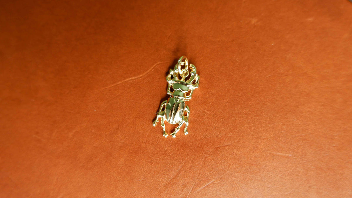 The Naturalist's Beetle Journal Charm
