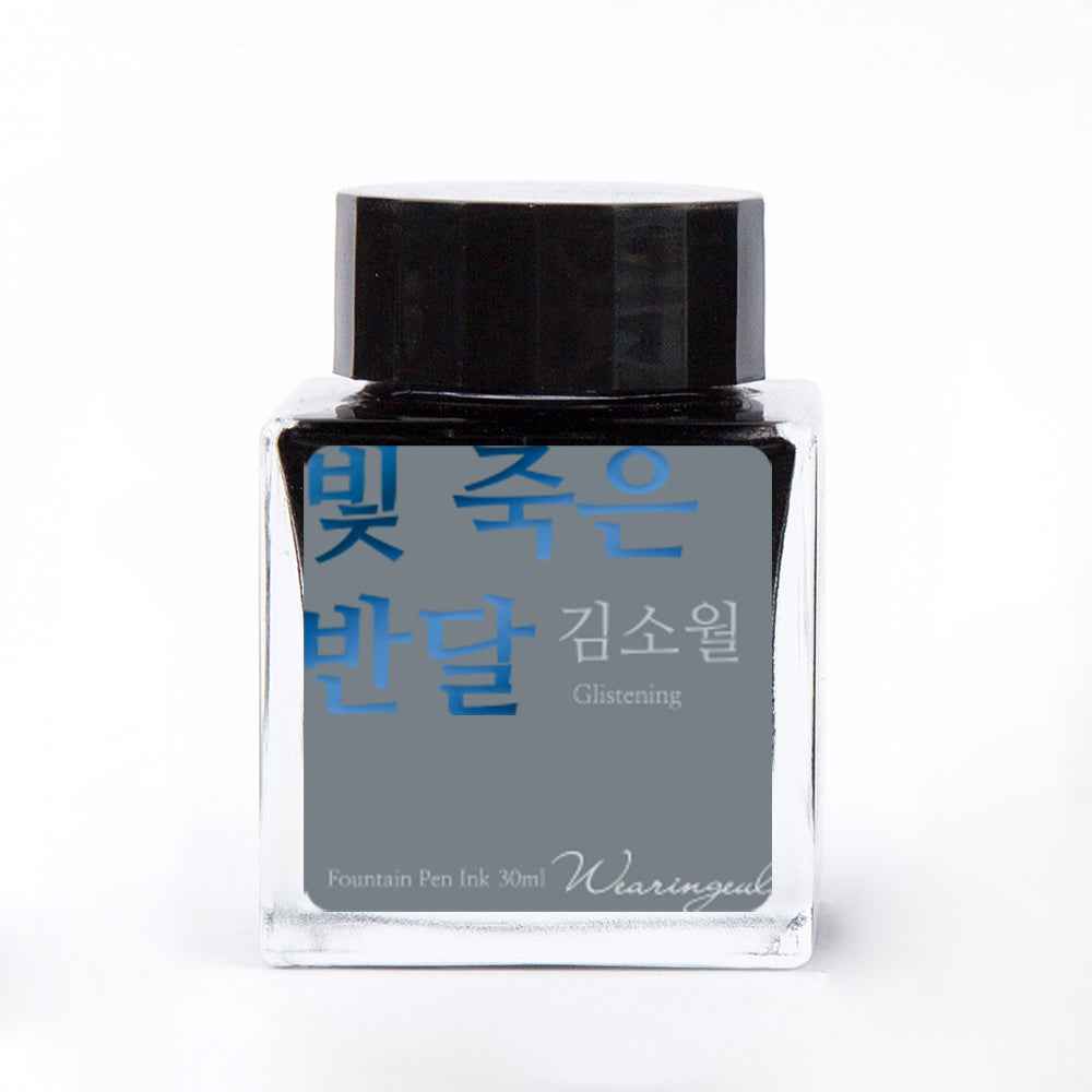 Fountain pen ink bottle with black cap and gray body on a white background